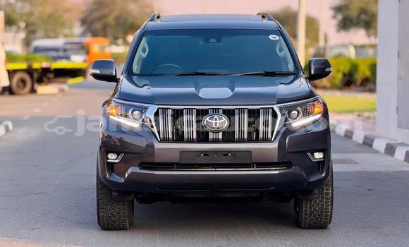 Buy Used Toyota Land Cruiser Prado Black Car in Import - Dubai in Clarendon