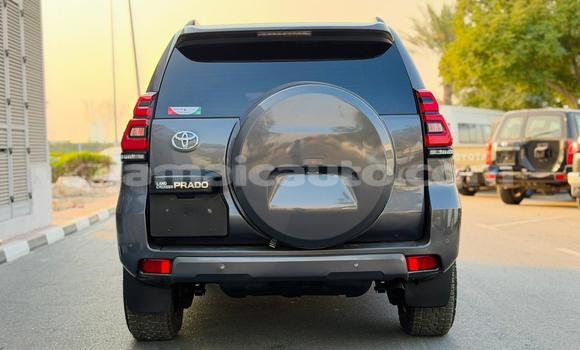 Buy Used Toyota Land Cruiser Prado Black Car in Import - Dubai in Clarendon Buy Used Toyota Land Cruiser Prado Black Car in Import - Dubai in Clarendon