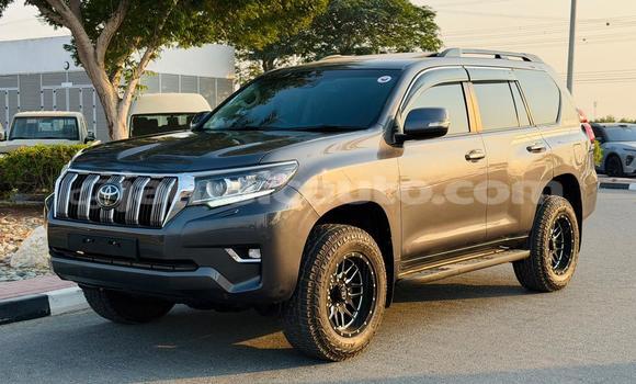 Buy Used Toyota Land Cruiser Prado Black Car in Import - Dubai in Clarendon Buy Used Toyota Land Cruiser Prado Black Car in Import - Dubai in Clarendon