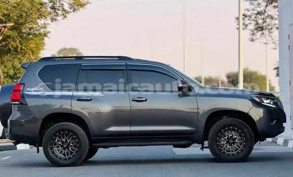 Buy Used Toyota Land Cruiser Prado Black Car in Import - Dubai in Clarendon Buy Used Toyota Land Cruiser Prado Black Car in Import - Dubai in Clarendon