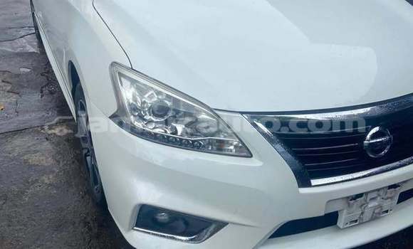 Buy Used Nissan Sylphy White Car in Import - Dubai in Clarendon