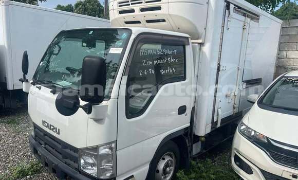 Buy Used Isuzu FTR 850 White Truck in Kingston in Kingston Buy Used Isuzu FTR 850 White Truck in Kingston in Kingston