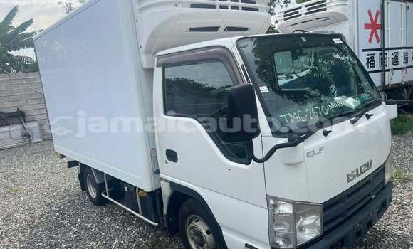 Buy Used Isuzu FTR 850 White Truck in Kingston in Kingston Buy Used Isuzu FTR 850 White Truck in Kingston in Kingston