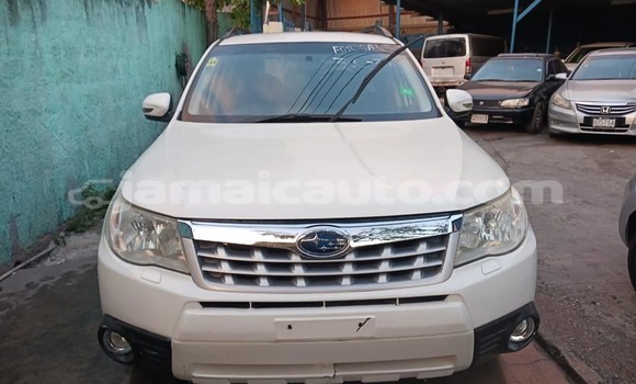 Buy Used Subaru Forester White Car in Lucea in Hanover