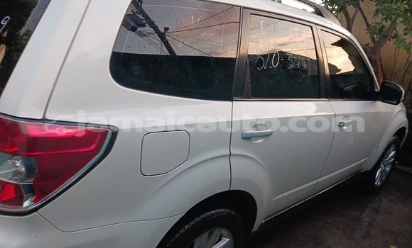 Buy Used Subaru Forester White Car in Lucea in Hanover Buy Used Subaru Forester White Car in Lucea in Hanover