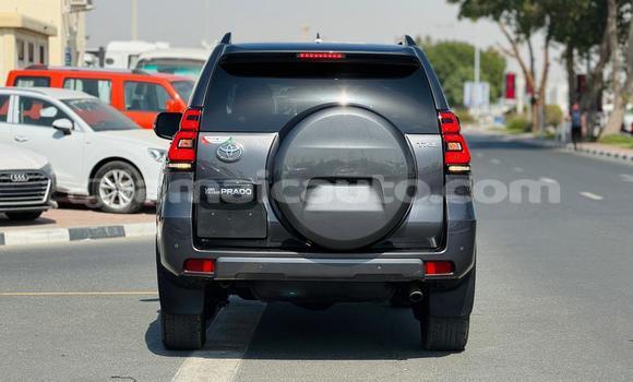 Buy Used Toyota Land Cruiser Prado Black Car in Import - Dubai in Clarendon Buy Used Toyota Land Cruiser Prado Black Car in Import - Dubai in Clarendon