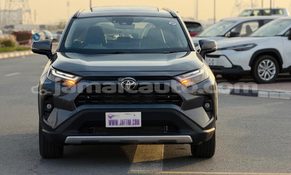 Buy Used Toyota RAV4 Black Car in Kingston in Kingston