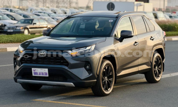 Buy Used Toyota RAV4 Black Car in Kingston in Kingston Buy Used Toyota RAV4 Black Car in Kingston in Kingston