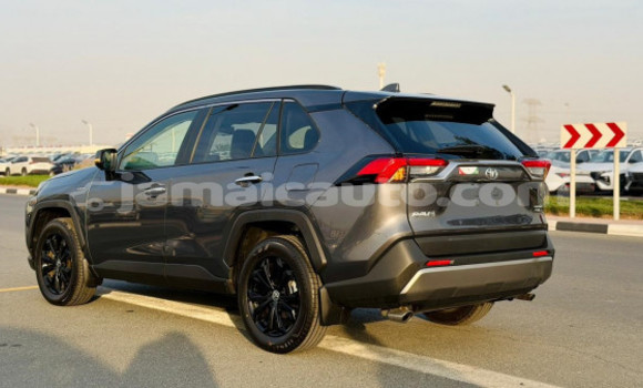 Buy Used Toyota RAV4 Black Car in Kingston in Kingston Buy Used Toyota RAV4 Black Car in Kingston in Kingston