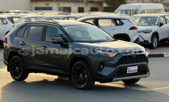 Buy Used Toyota RAV4 Black Car in Kingston in Kingston Buy Used Toyota RAV4 Black Car in Kingston in Kingston