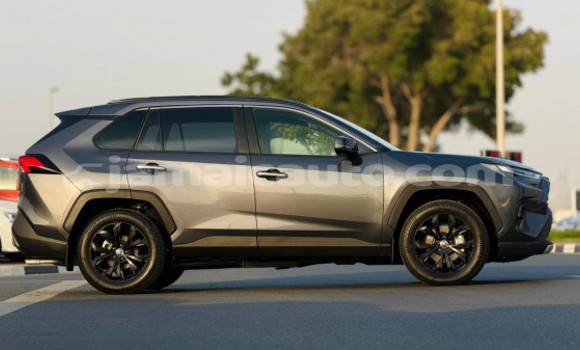 Buy Used Toyota RAV4 Black Car in Kingston in Kingston Buy Used Toyota RAV4 Black Car in Kingston in Kingston