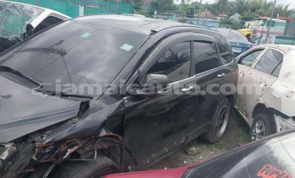 Buy Used Honda CR–V Other Car in Lucea in Hanover Buy Used Honda CR–V Other Car in Lucea in Hanover