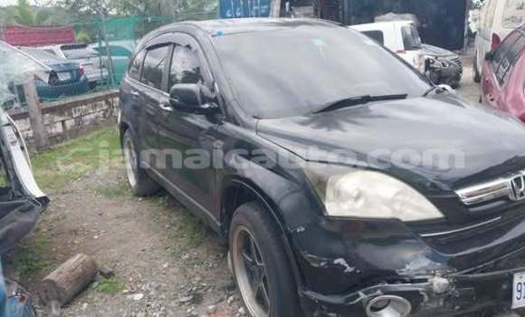 Buy Used Honda CR–V Other Car in Lucea in Hanover Buy Used Honda CR–V Other Car in Lucea in Hanover