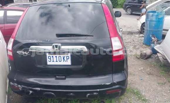 Buy Used Honda CR–V Other Car in Lucea in Hanover Buy Used Honda CR–V Other Car in Lucea in Hanover