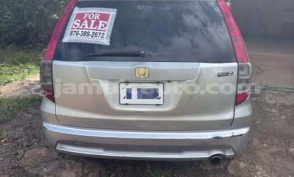 Buy Used Honda Stream Other Car in Lucea in Hanover