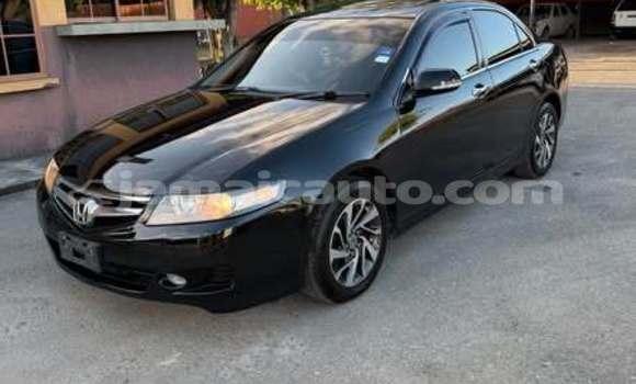 Buy Used Honda Accord Other Car in Albert Town in Trelawney