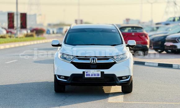 Buy Used Honda CR–V White Car in Kingston in Kingston