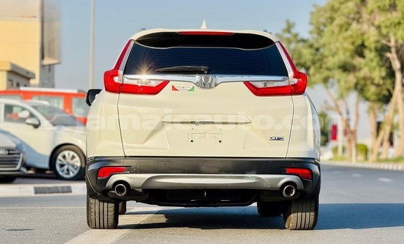 Buy Used Honda CR–V White Car in Kingston in Kingston Buy Used Honda CR–V White Car in Kingston in Kingston