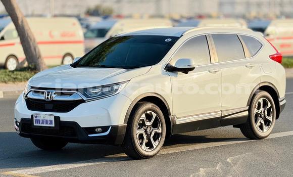 Buy Used Honda CR–V White Car in Kingston in Kingston Buy Used Honda CR–V White Car in Kingston in Kingston