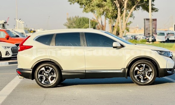 Buy Used Honda CR–V White Car in Kingston in Kingston Buy Used Honda CR–V White Car in Kingston in Kingston