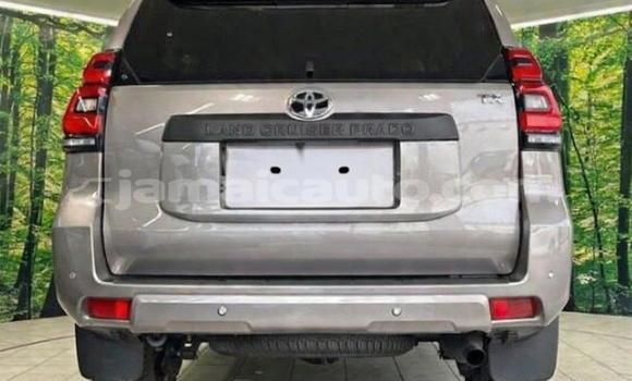 Buy Used Toyota Land Cruiser Prado Black Car in Kingston in Kingston Buy Used Toyota Land Cruiser Prado Black Car in Kingston in Kingston