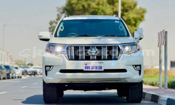 Buy Used Toyota Land Cruiser Prado White Car in Import - Dubai in Clarendon