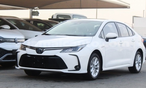 Buy Used Toyota Corolla White Car in Kingston in Kingston