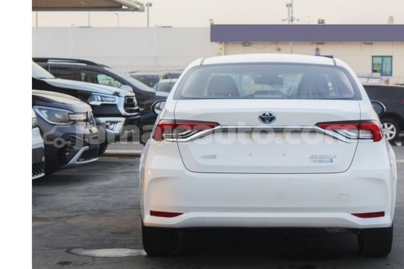 Big with watermark toyota corolla kingston kingston 5492