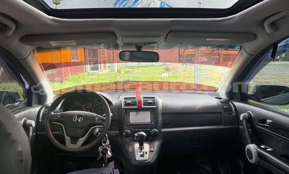 Buy Used Honda CR–V Other Car in Savanna la Mar in Westmoreland Buy Used Honda CR–V Other Car in Savanna la Mar in Westmoreland