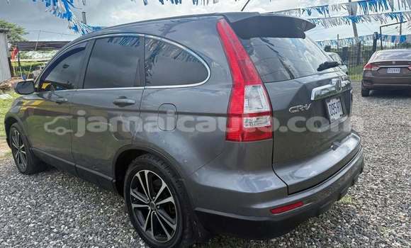 Buy Used Honda CR–V Other Car in Savanna la Mar in Westmoreland Buy Used Honda CR–V Other Car in Savanna la Mar in Westmoreland