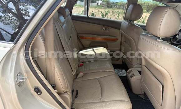 Buy Used Lexus RX Other Car in Port Antonio in Portland Buy Used Lexus RX Other Car in Port Antonio in Portland