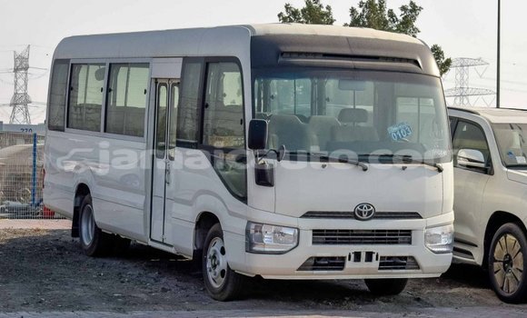 Buy Import Toyota Coaster White Car in Import - Dubai in Clarendon Buy Import Toyota Coaster White Car in Import - Dubai in Clarendon