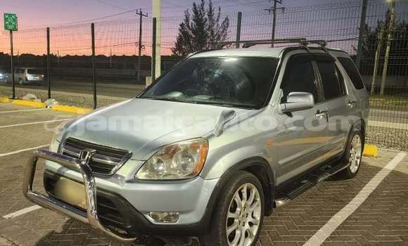 Buy Used Honda CR–V Other Car in Mandeville in Manchester Buy Used Honda CR–V Other Car in Mandeville in Manchester