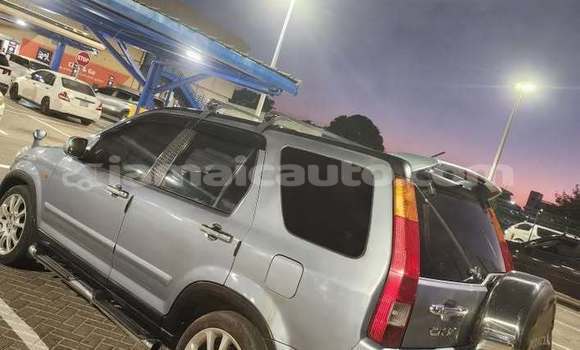 Buy Used Honda CR–V Other Car in Mandeville in Manchester Buy Used Honda CR–V Other Car in Mandeville in Manchester