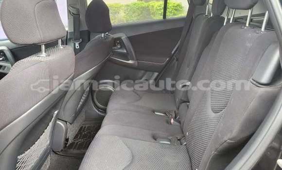 Buy Used Toyota RAV4 Black Car in Port Antonio in Portland Buy Used Toyota RAV4 Black Car in Port Antonio in Portland