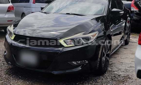 Buy Used Nissan Maxima Black Car in Mandeville in Manchester