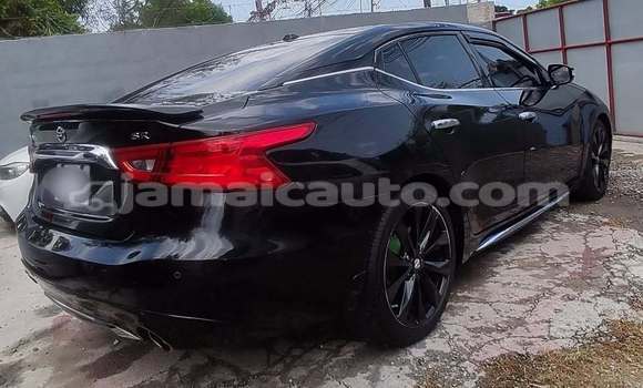 Buy Used Nissan Maxima Black Car in Mandeville in Manchester Buy Used Nissan Maxima Black Car in Mandeville in Manchester