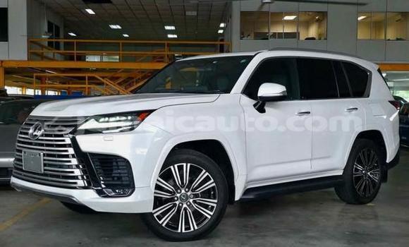 Buy Used Lexus LX White Car in Kingston in Kingston