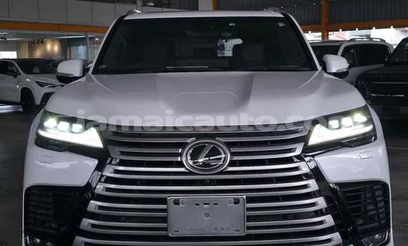 Buy Used Lexus LX White Car in Kingston in Kingston Buy Used Lexus LX White Car in Kingston in Kingston