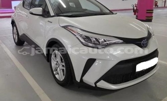 Buy Used Toyota C-HR White Car in Kingston in Kingston