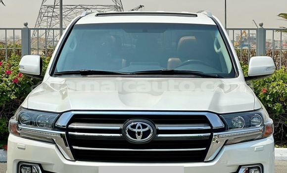 Buy Used Toyota Land Cruiser White Car in Albert Town in Trelawney