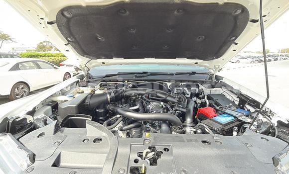 Buy Used Ford Ranger White Car in Import - Dubai in Clarendon Buy Used Ford Ranger White Car in Import - Dubai in Clarendon