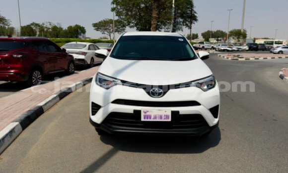 Buy Used Toyota RAV4 White Car in Import - Dubai in Clarendon Buy Used Toyota RAV4 White Car in Import - Dubai in Clarendon