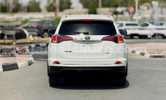 Buy Used Toyota RAV4 White Car in Import - Dubai in Clarendon Buy Used Toyota RAV4 White Car in Import - Dubai in Clarendon