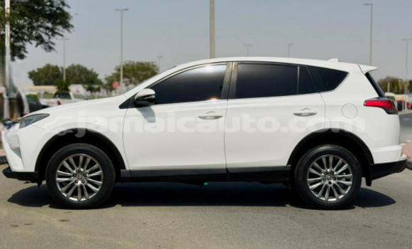 Buy Used Toyota RAV4 White Car in Import - Dubai in Clarendon Buy Used Toyota RAV4 White Car in Import - Dubai in Clarendon