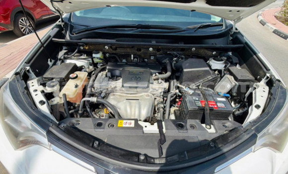 Buy Used Toyota RAV4 White Car in Import - Dubai in Clarendon Buy Used Toyota RAV4 White Car in Import - Dubai in Clarendon