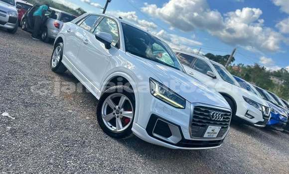 Buy Used Audi Q2 White Car in Falmouth in Trelawney