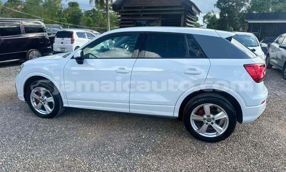 Buy Used Audi Q2 White Car in Falmouth in Trelawney Buy Used Audi Q2 White Car in Falmouth in Trelawney