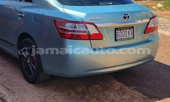 Buy Used Toyota Premio Other Car in Mandeville in Manchester Buy Used Toyota Premio Other Car in Mandeville in Manchester