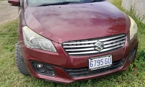 Buy Used Suzuki Ciaz Red Car in Mandeville in Manchester Buy Used Suzuki Ciaz Red Car in Mandeville in Manchester